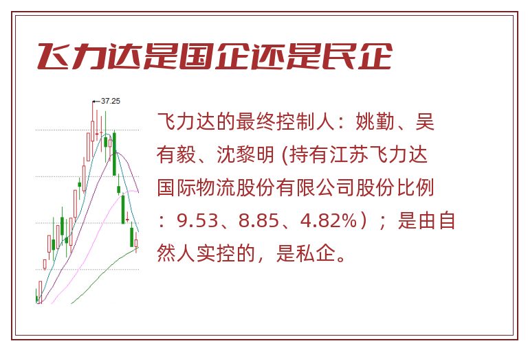 飞力达是国企还是民企