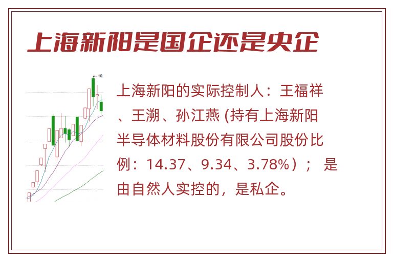 上海新阳是国企还是央企