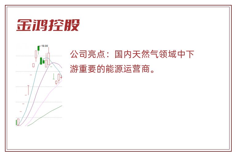 金鸿控股