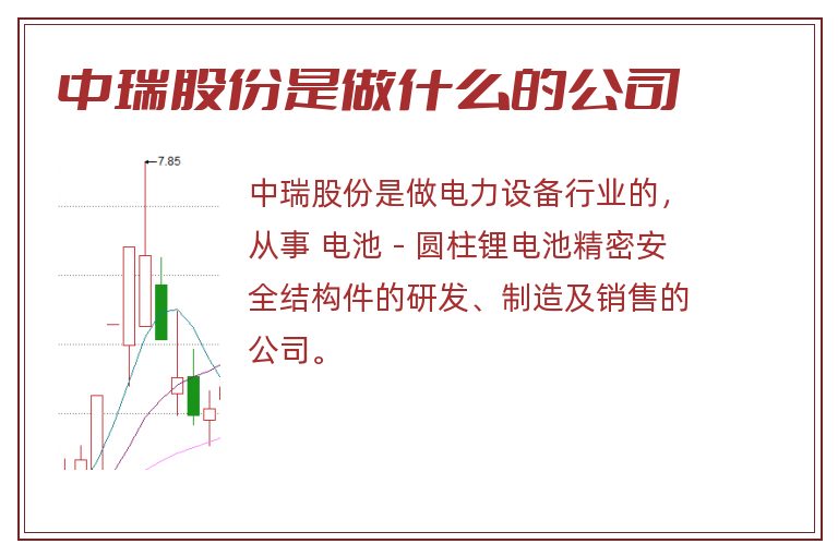 中瑞股份是做什么的公司