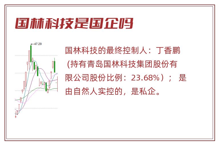 国林科技是国企吗