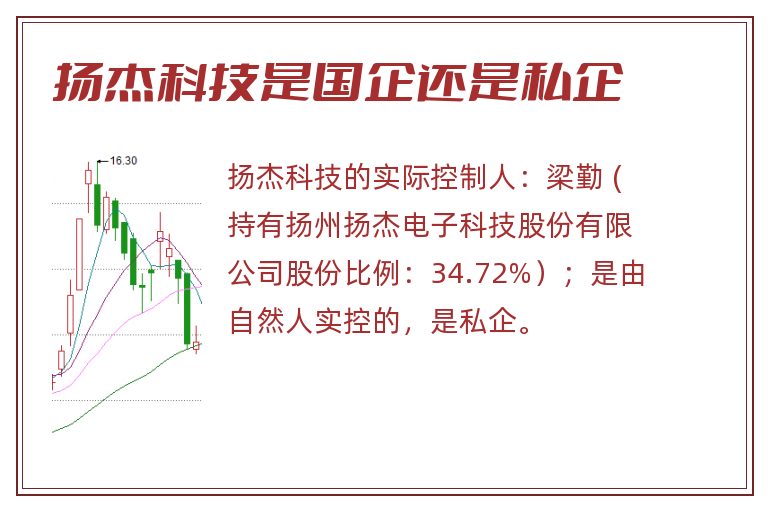 扬杰科技是国企还是私企