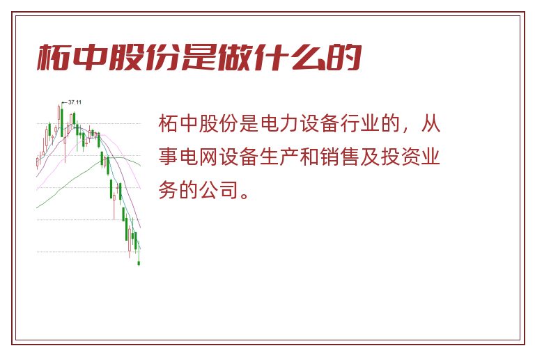 柘中股份是做什么的