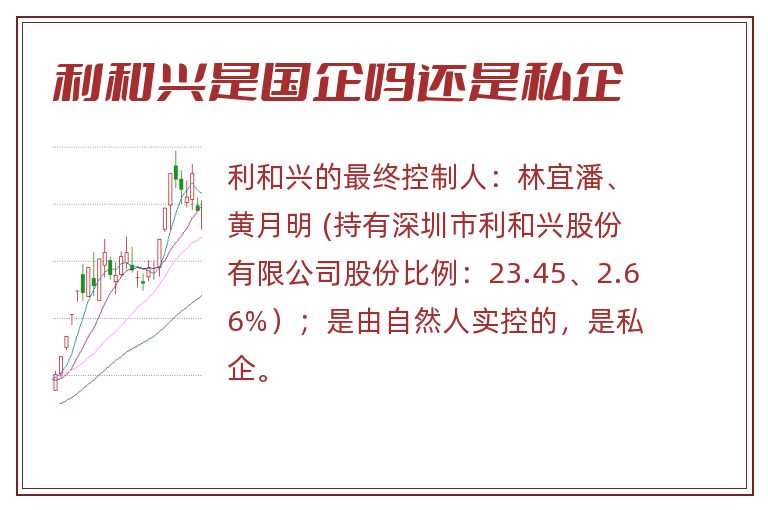 利和兴是国企吗还是私企