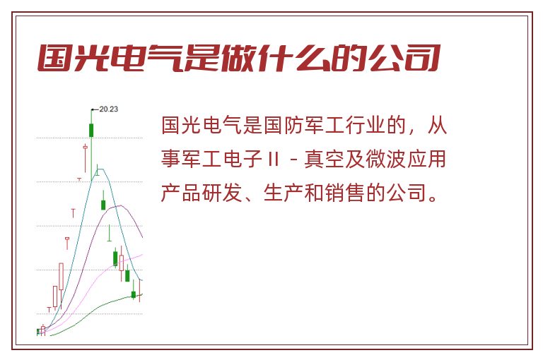 国光电气是做什么的公司