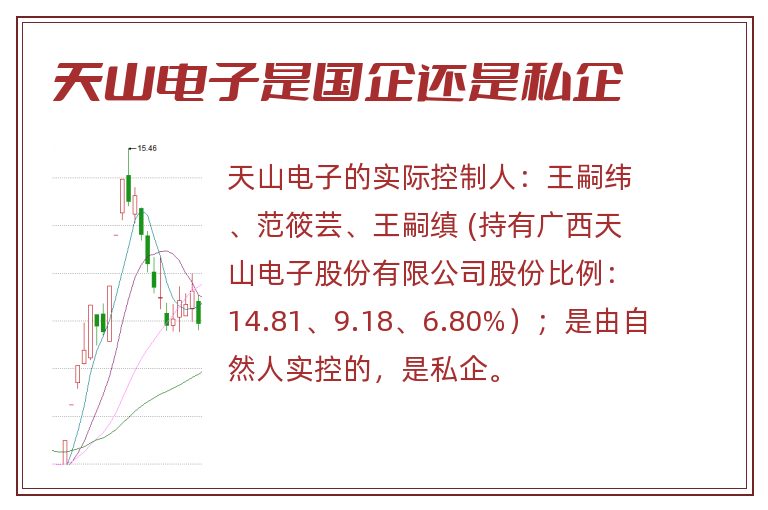 天山电子是国企还是私企