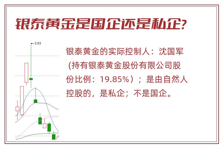 银泰黄金是国企还是私企?