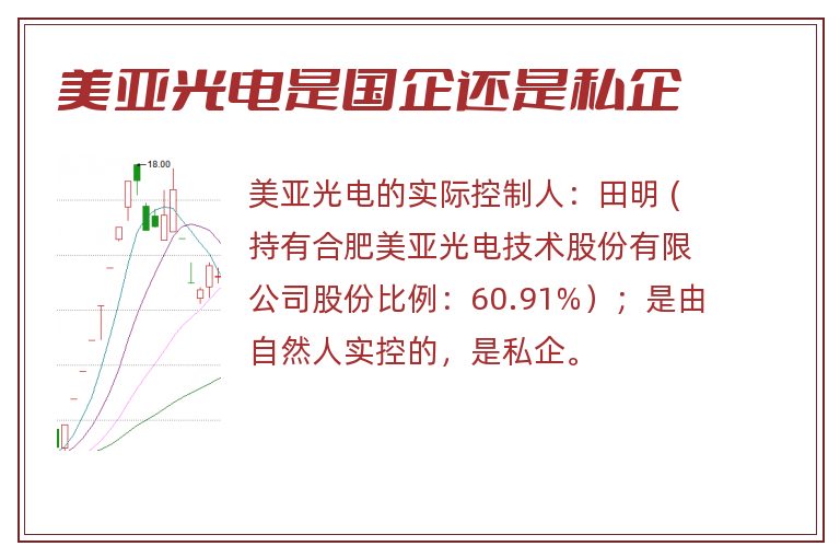 美亚光电是国企还是私企