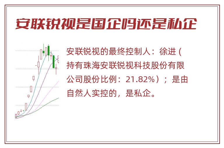 安联锐视是国企吗还是私企