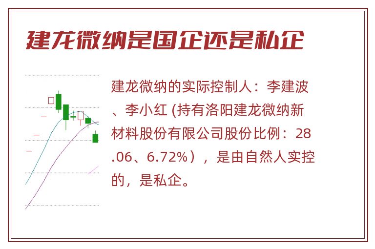 建龙微纳是国企还是私企