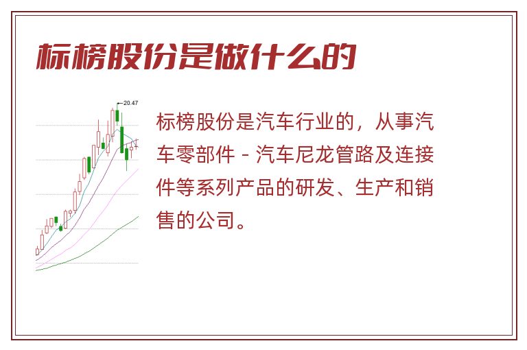 标榜股份是做什么的