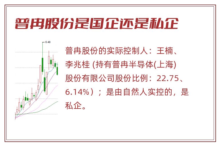 普冉股份是国企还是私企