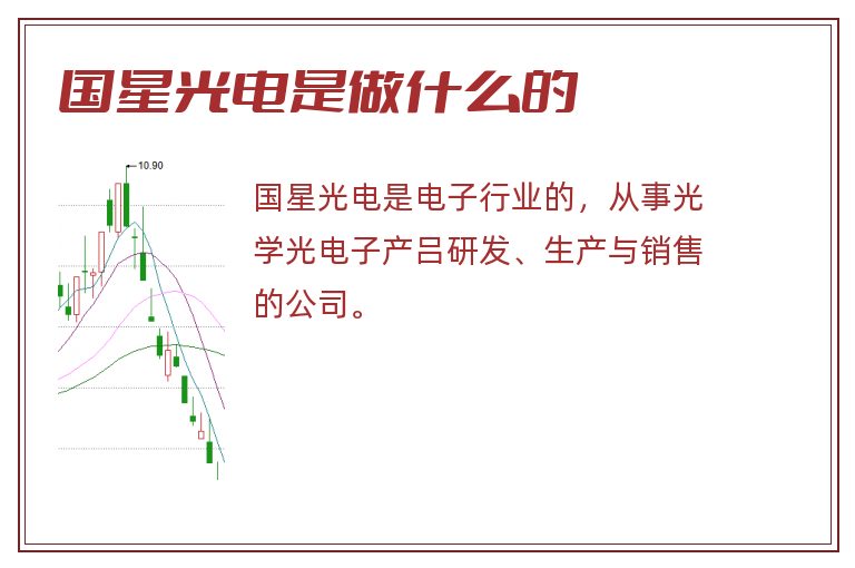 国星光电是做什么的