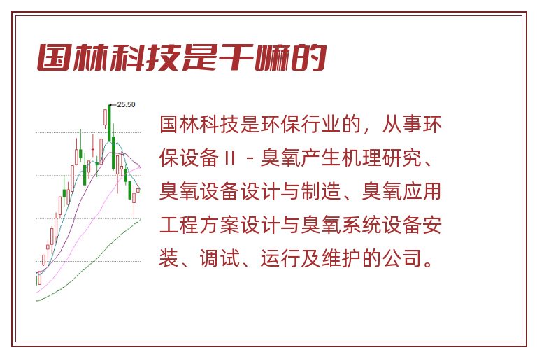 国林科技是干嘛的