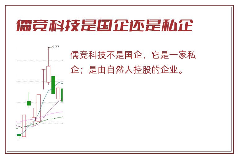 儒竞科技是国企还是私企