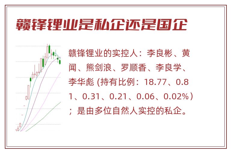 赣锋锂业是私企还是国企