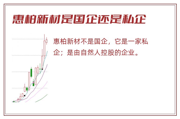 惠柏新材是国企还是私企