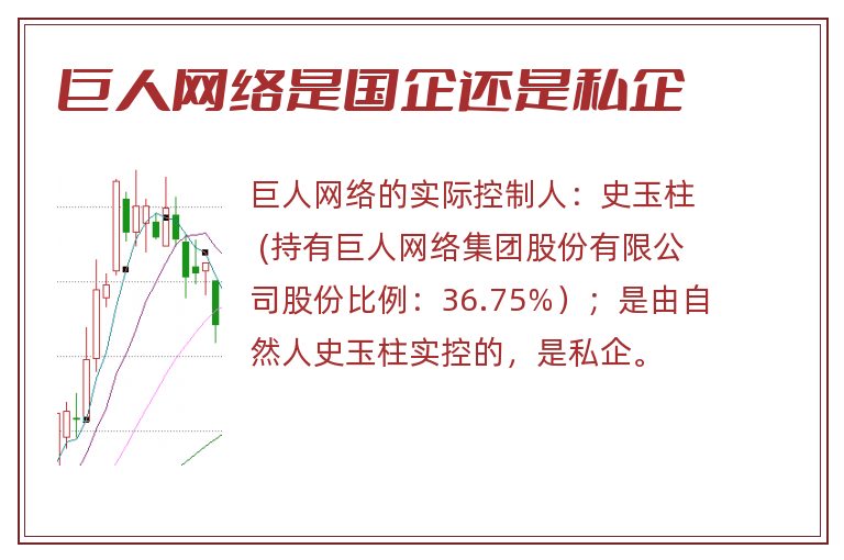 巨人网络是国企还是私企