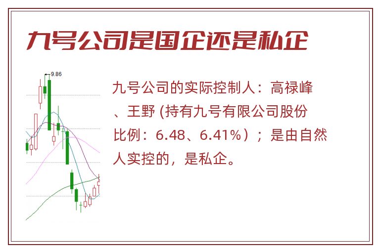 九号公司是国企还是私企