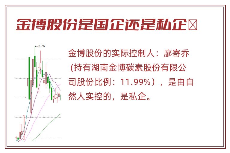 金博股份是国企还是私企	