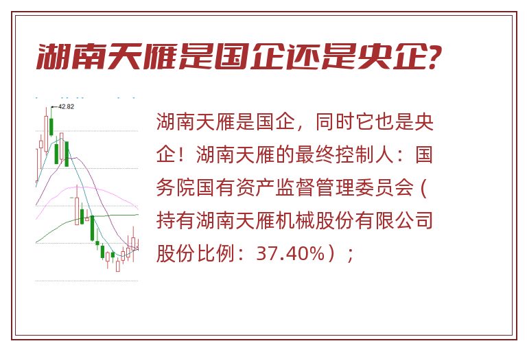 湖南天雁是国企还是央企？