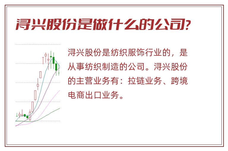 浔兴股份是做什么的公司?