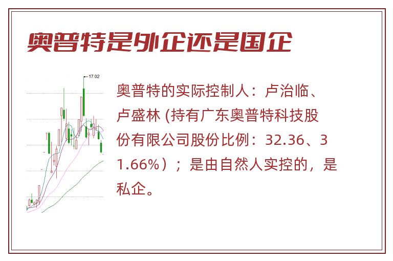 奥普特是外企还是国企