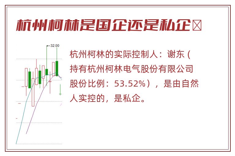 杭州柯林是国企还是私企	