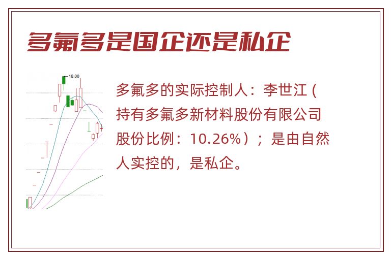 多氟多是国企还是私企