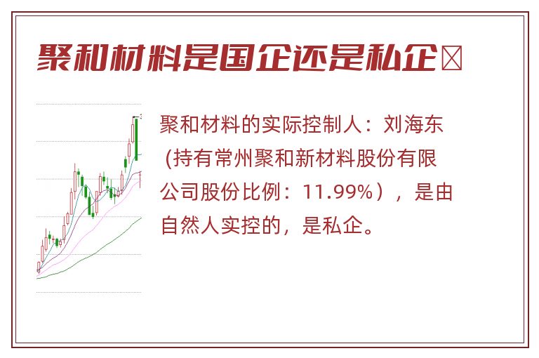 聚和材料是国企还是私企	