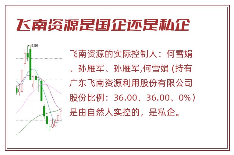 飞南资源是国企还是私企