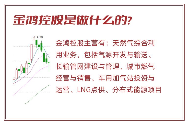 金鸿控股是做什么的?