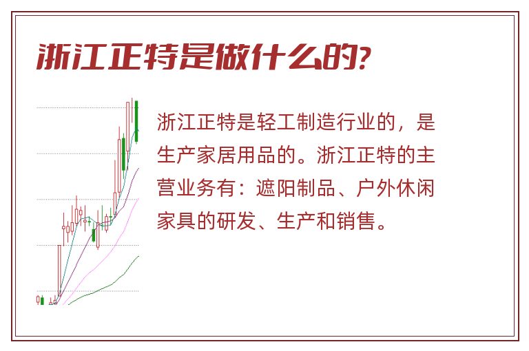 浙江正特是做什么的?