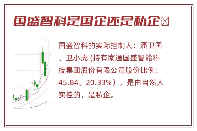 国盛智科是国企还是私企	