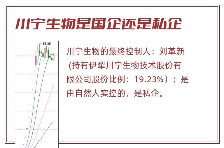 川宁生物是国企还是私企