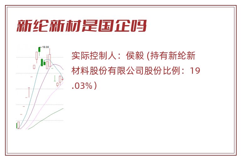 新纶新材是国企吗