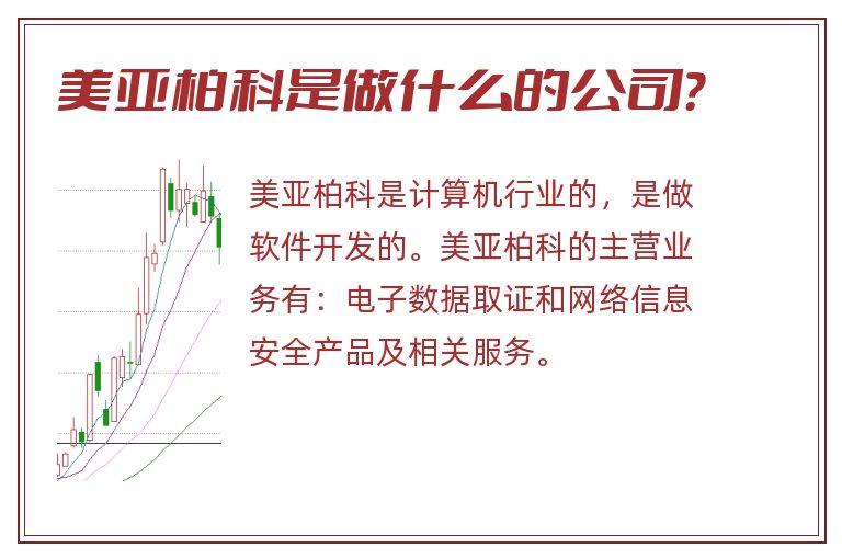 美亚柏科是做什么的公司？