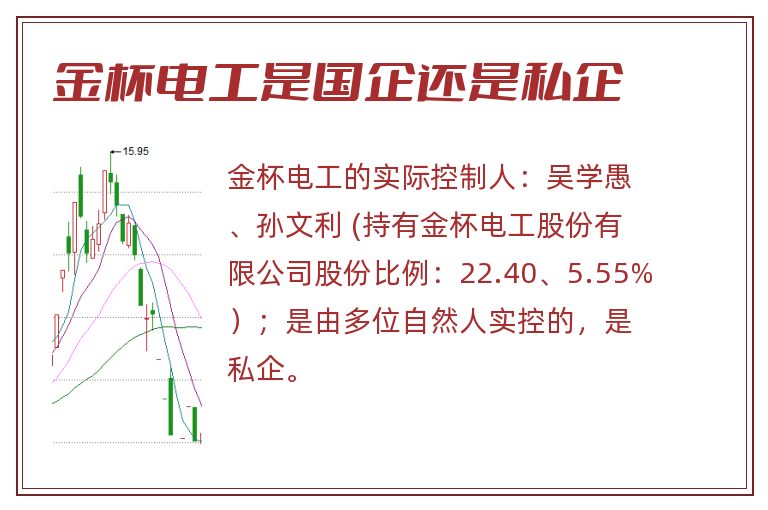 金杯电工是国企还是私企