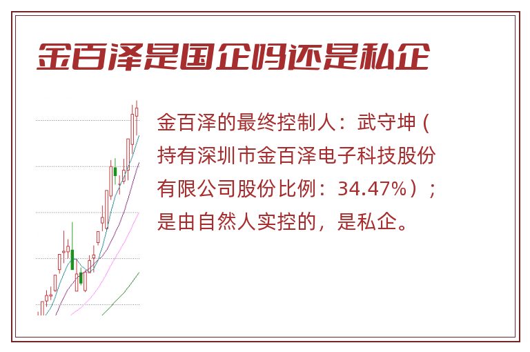 金百泽是国企吗还是私企