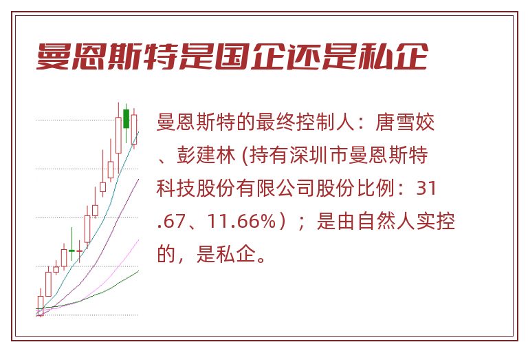 曼恩斯特是国企还是私企