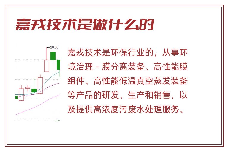 嘉戎技术是做什么的