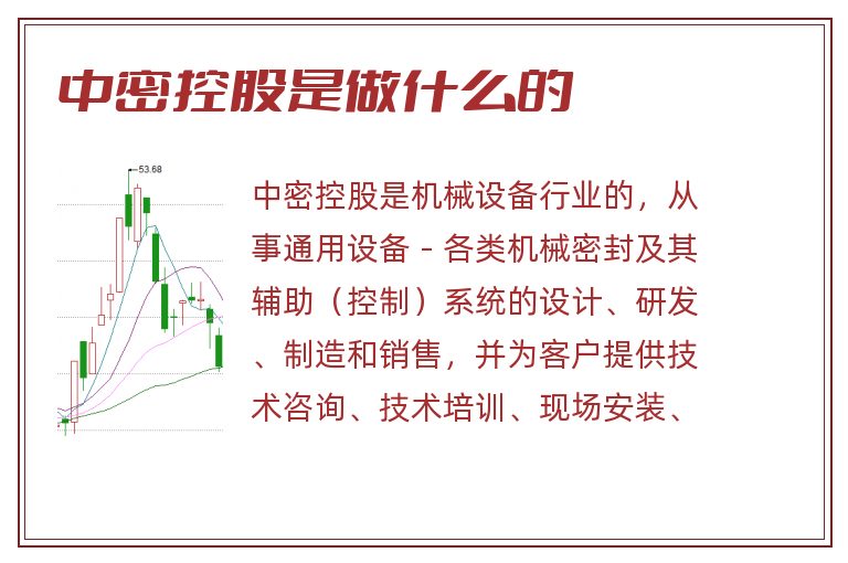 中密控股是做什么的