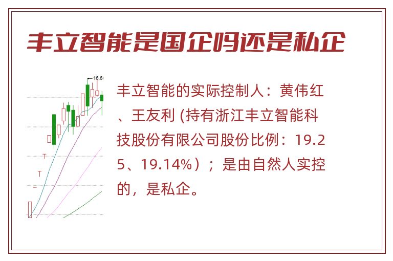 丰立智能是国企吗还是私企