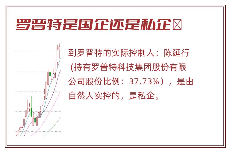 罗普特是国企还是私企	