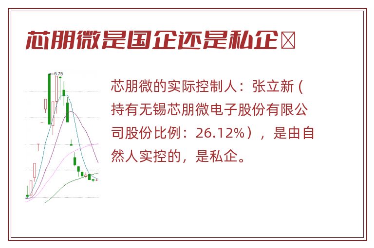 芯朋微是国企还是私企	