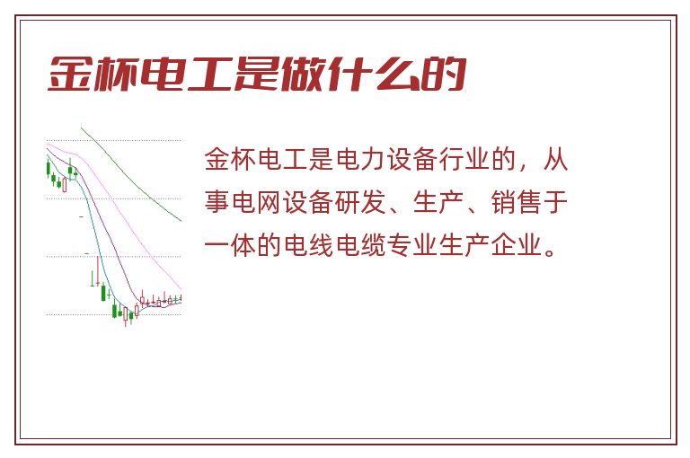 金杯电工是做什么的