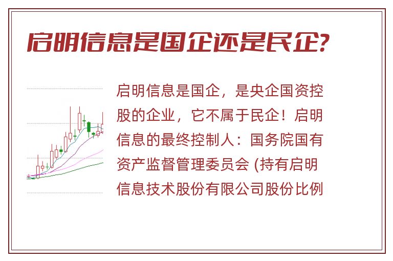 启明信息是国企还是民企？