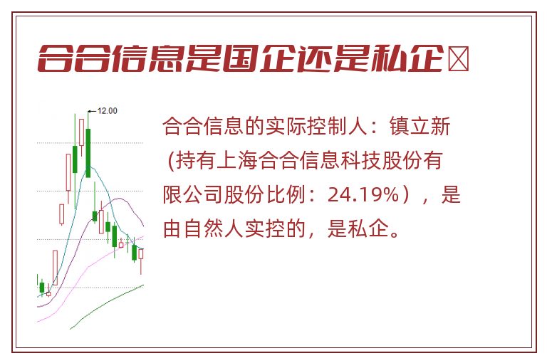 合合信息是国企还是私企	