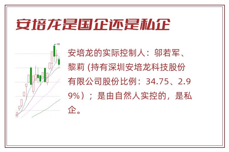 安培龙是国企还是私企