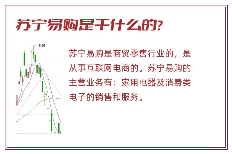 苏宁易购是干什么的?